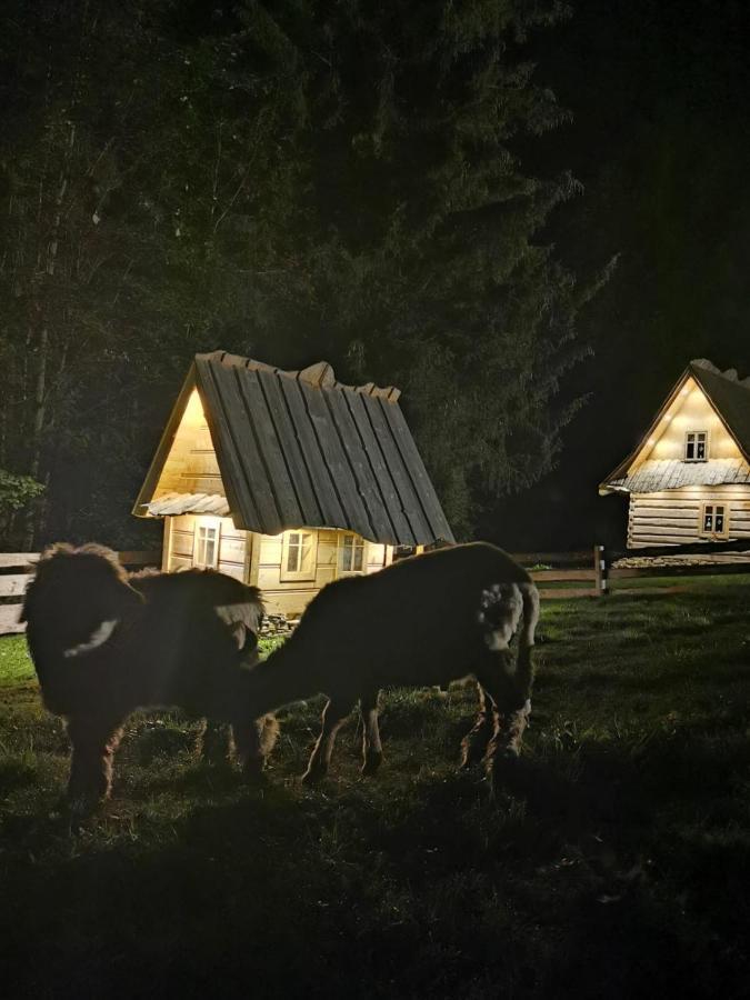 Zagroda Krowiarki Chocholow Exterior foto